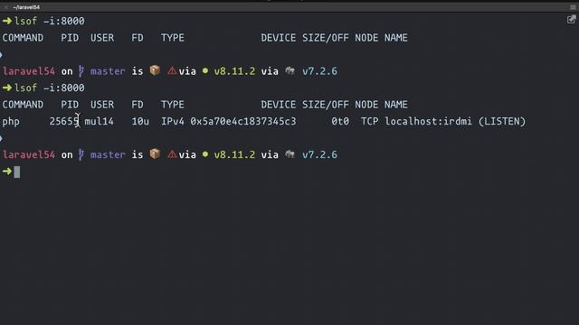 Failed to listen on localhost:8000 (reason: Address already in use) смотреть онлайн