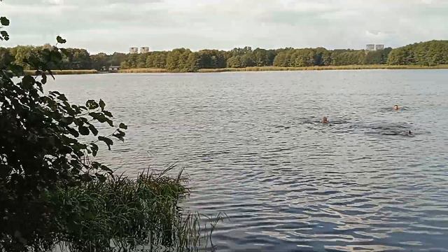 01.10.2023 Brest Belarus. Отдых на природе с клубом развития личности "Оптимист" Walks with Victori смотреть онлайн