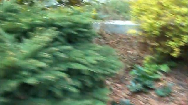 Мульчирование декоративное в Карловых Варах смотреть онлайн