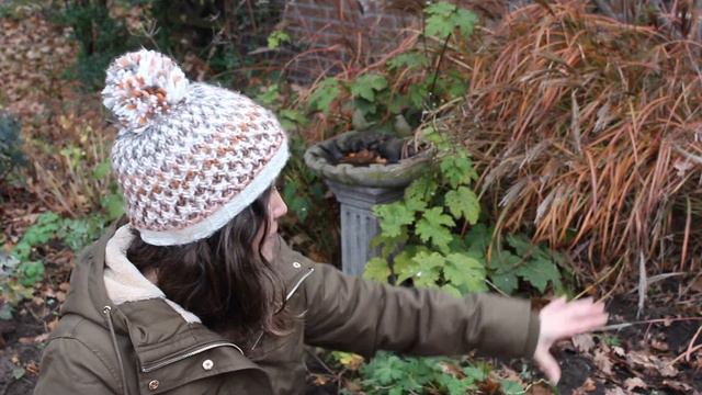 How to plant Allium bulbs смотреть онлайн