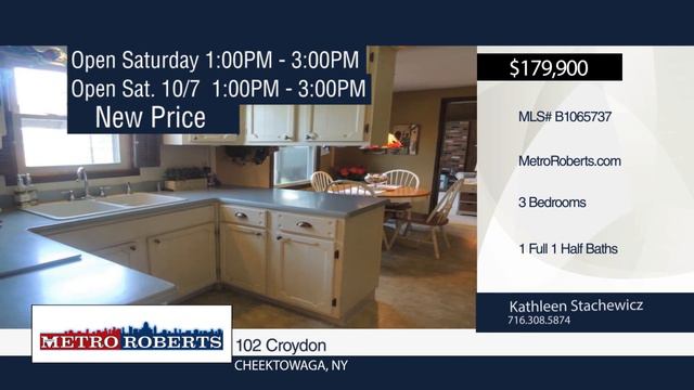WNY Metro Youtube Channel: WNY Metro Showcase Of Homes 9-30-17 смотреть онлайн