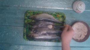 Сельдь сухого посола в домашних условиях или вкуснейшая малосольная селедка соленая сухим посолом