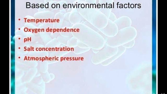 Microbiology - Classification of Bacteria смотреть онлайн
