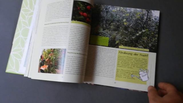 Einblicke in mein neues Buch - unser essbarer Waldgarten смотреть онлайн
