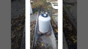 Тушёнка из фазана.