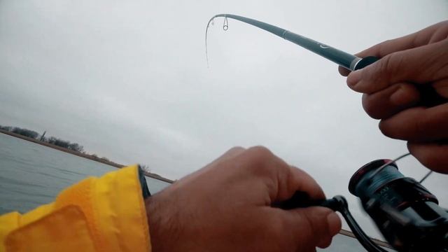 Зимний спининг ... 26 декабря ...Graphiteleader Nuovo Calamaretti Prototype GNCPRS-8102MH смотреть онлайн
