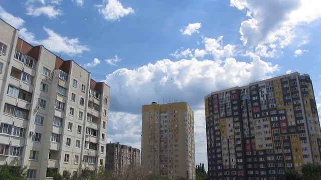 СТРИЖИ - Очень Умные Птицы !!! смотреть онлайн