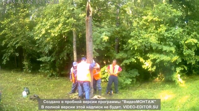 как правильно срубить дерево смотреть онлайн