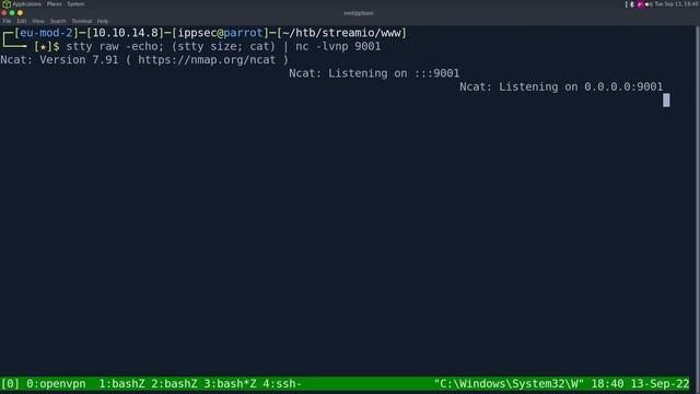 HackTheBox - StreamIO - Manually Enumerating MSSQL Databases, Attacking Active Directory, and LAPS смотреть онлайн