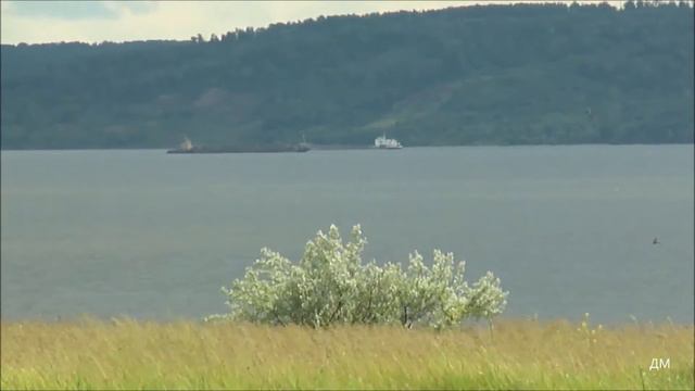 День Святой Троицы на Белом Яре 7,06 2020г смотреть онлайн