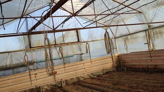 печь на отработке в действие, отдача тепла от дымахода смотреть онлайн