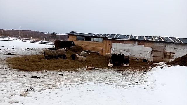 Земли в аренду. смотреть онлайн