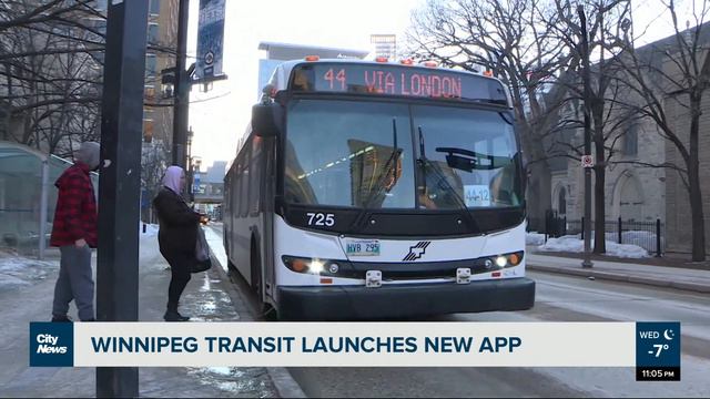 Winnipeg Transit launches new app смотреть онлайн