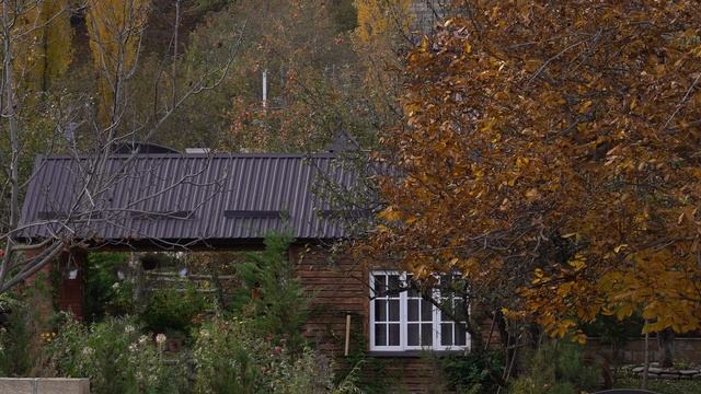 Winter Preparation: Wild Barberry Harvesting And Preservation