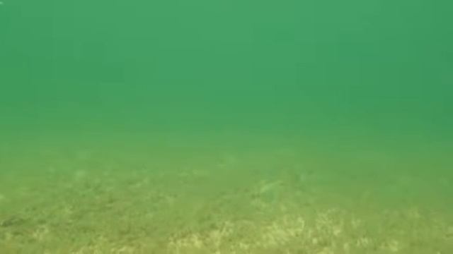 #ВидеоОбзор #воблер #кренкбейт #StrikeProWigglinOscar смотреть онлайн