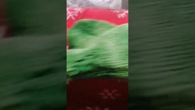 покажу как спастись от кошачьей шерсти??