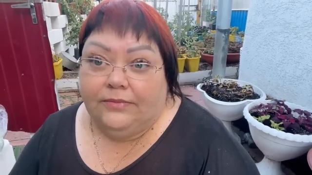 ПОДКОРМКА ВСЕГО САДА. ИЮНЬ 2023 смотреть онлайн