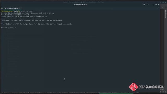 Laravel 5.8 Login System - Part 1: Project Set-up смотреть онлайн