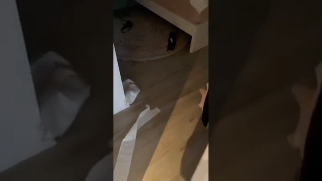 А кто это сделал? смотреть онлайн