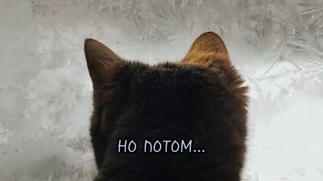 СОЦИАЛЬНЫЙ РОЛИК "БЕРЕГИТЕ ЖИВОТНЫХ" смотреть онлайн