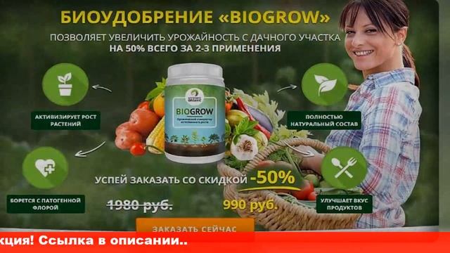 Где купить агромакс в спб смотреть онлайн