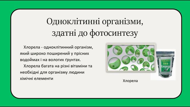Невидимий світ живої природи. Одноклітинні організми смотреть онлайн