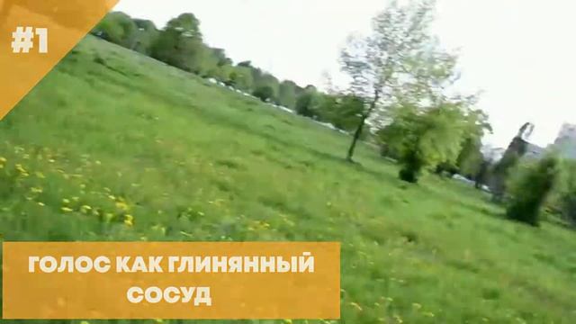 Бобтейл - Интересные факты о собаке смотреть онлайн