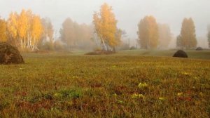 Стихи - Ф.Тютчев - "Осенний вечер"