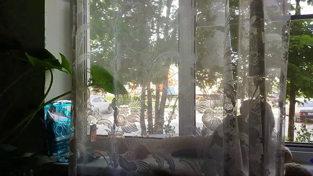 Почему некоторые люди не могут не ВЫкать смотреть онлайн