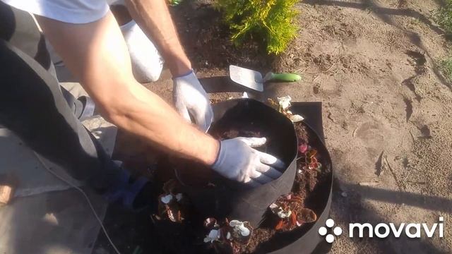 Клумба для цветов #GrowNic трёх ярусная #гроубэг #дизайн #озелинение смотреть онлайн