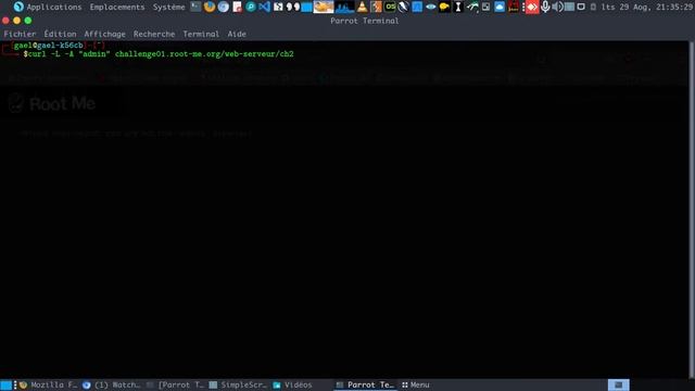 HTTP - User-agent Web Server (root-me.org) смотреть онлайн