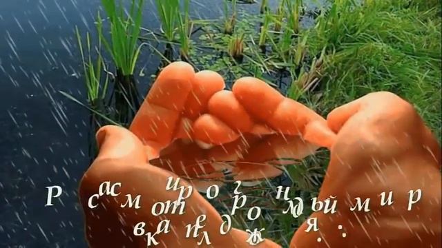 Жизнь прекрасна и удивительна! смотреть онлайн