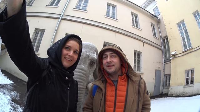 Фото слона смотреть онлайн