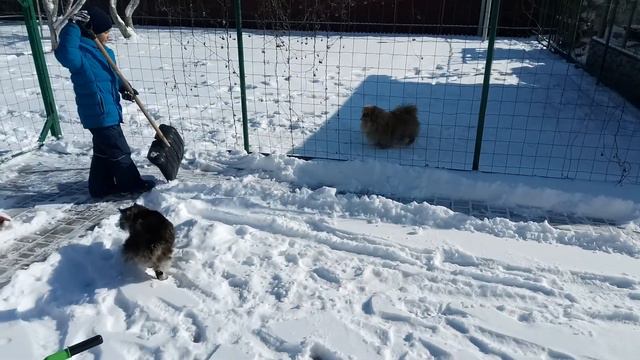 Кто в доме хозяин? смотреть онлайн