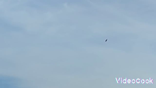 lotnisko cigacice loty 23.10.2022 смотреть онлайн