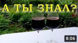 ВИШНЕВОЕ ВИНО – секреты приготовления??? Как отделить ягоду от косточек легко???