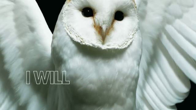Deftones - Diamond Eyes [Official Lyric Video] смотреть онлайн