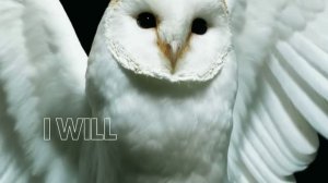 Deftones - Diamond Eyes [Official Lyric Video]