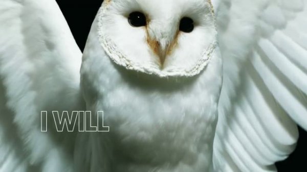 Deftones - Diamond Eyes [Official Lyric Video]