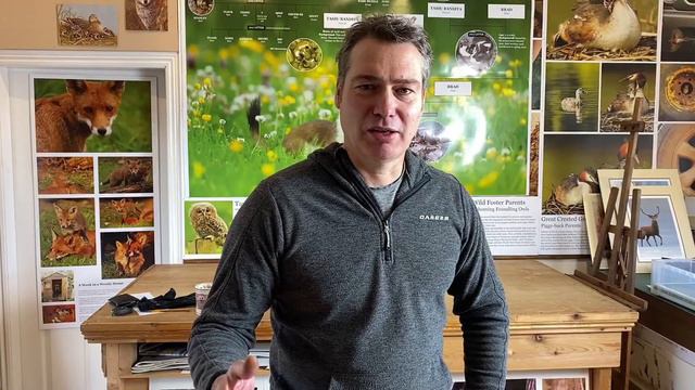 Barn Owls, Stoats & More Visit My Kid's Climbing Frame | Discover Wildlife | Robert E Fuller смотреть онлайн