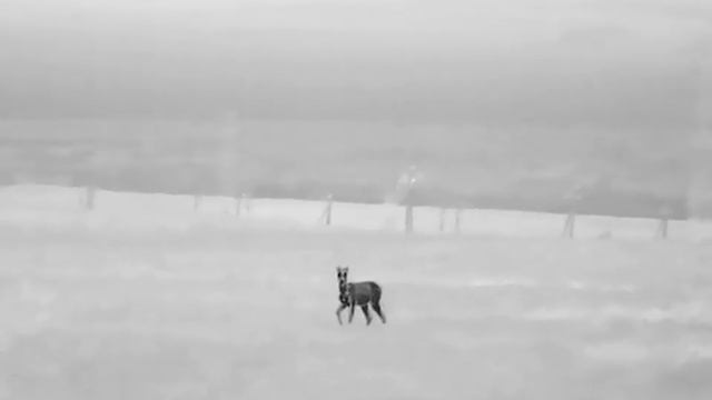 Guide tn 430 смотреть онлайн