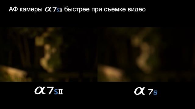 Интеллектуальный АФ камеры Sony α7S II смотреть онлайн
