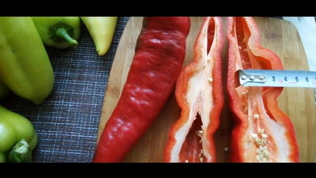 Лето! Самые урожайные сорта перца. Какаду, Букетный, Калифорнийское чудо , Подарок Молдовы. смотреть онлайн