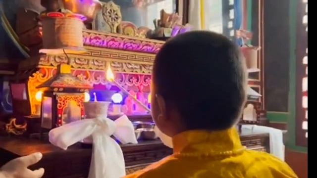 kYabje tenga rinpoche Yangsi Rinpoche🙏🙏 смотреть онлайн