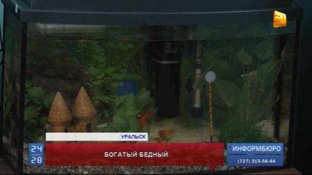 Уральский бомж выиграл два миллиона рублей смотреть онлайн