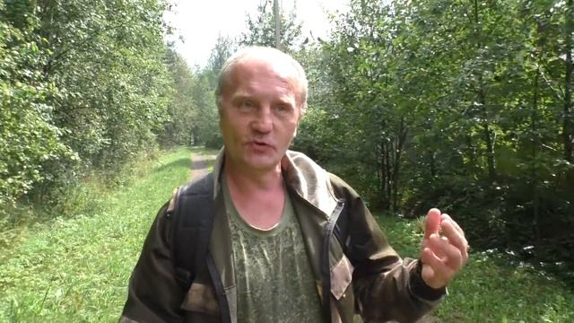 Собираем белые грибы. Август 2021 года. Подмосковье. смотреть онлайн