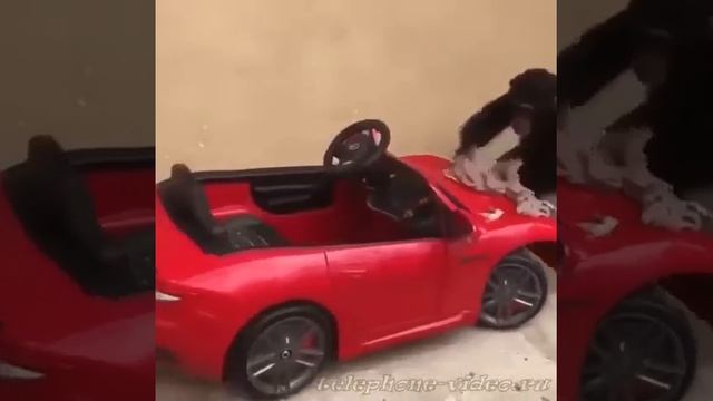 Надо мошину помыть смотреть онлайн