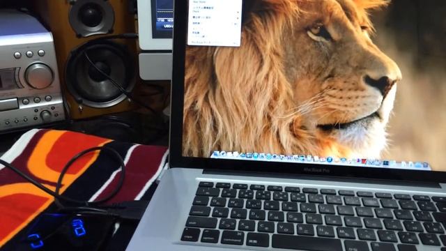 MacBook Pro(15-inch, Early 2011)カスタマイズ