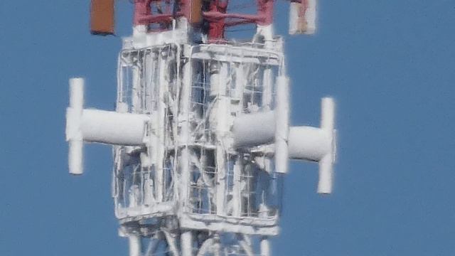 Panasonic Lumix DC FZ82 зум тест 1.5км смотреть онлайн