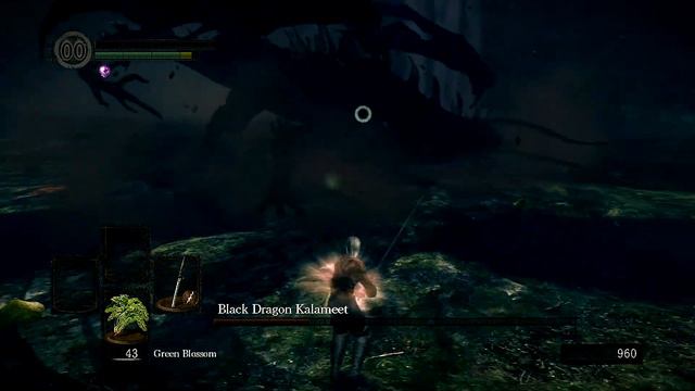 Dark souls - Jetstream challenge - 23 Kalameet смотреть онлайн